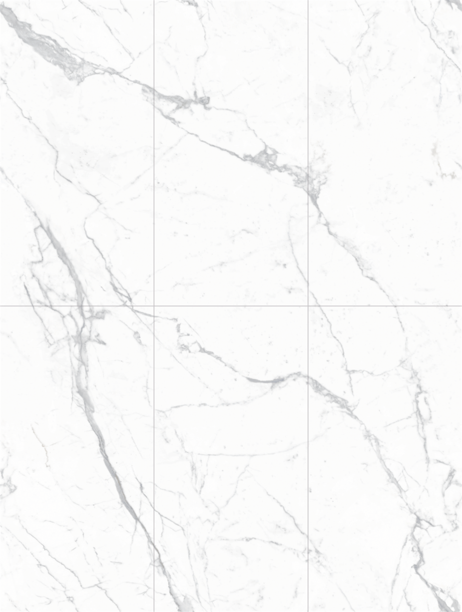 DT126317-1（6） 安特.png